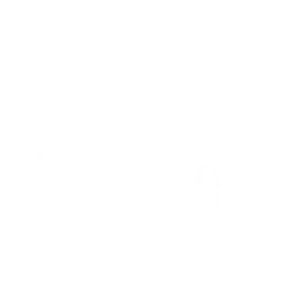 Shawyers_Logo300px